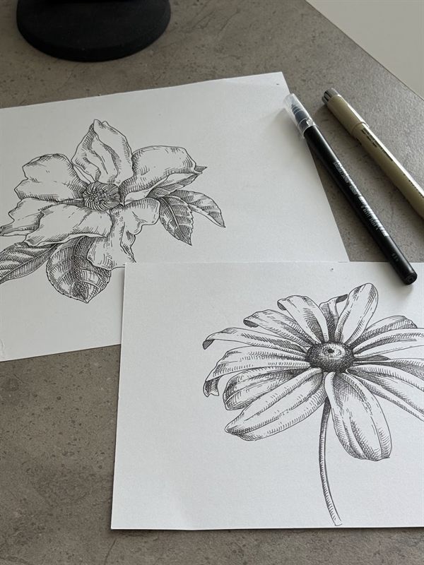 Botanical sketch sheets drawn with fineliner