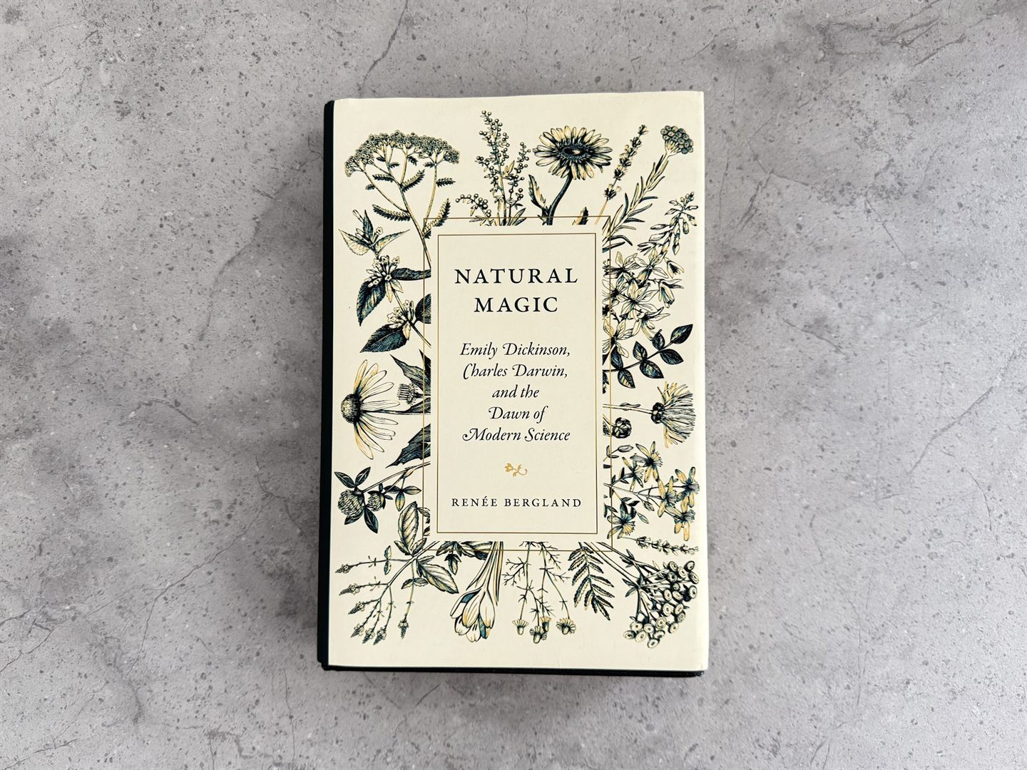Natural Magic book with a hand-drawn botanical cover illustration by Yevheniia Lytvynovych